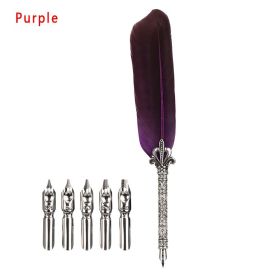 1 Set Multicolor Retro Quill Dip Pen Turkey Feather Pen Quill Oblique + 5 Nibs+ Pen Set Gift Writing Tools Office School Supply (Color: Purple)